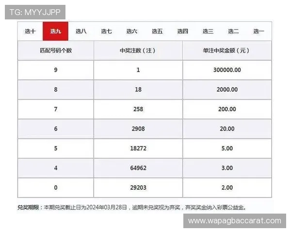 百家乐注码策略分析如何科学合理分配投注金额实现资金最大化